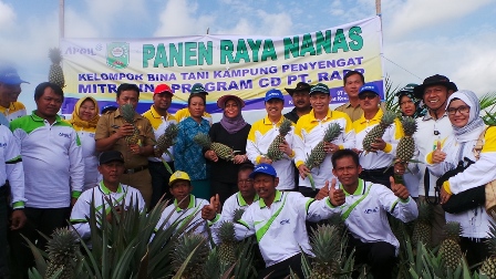 Syamsuar Optimis Desa di Siak Jadi Sentra Nenas